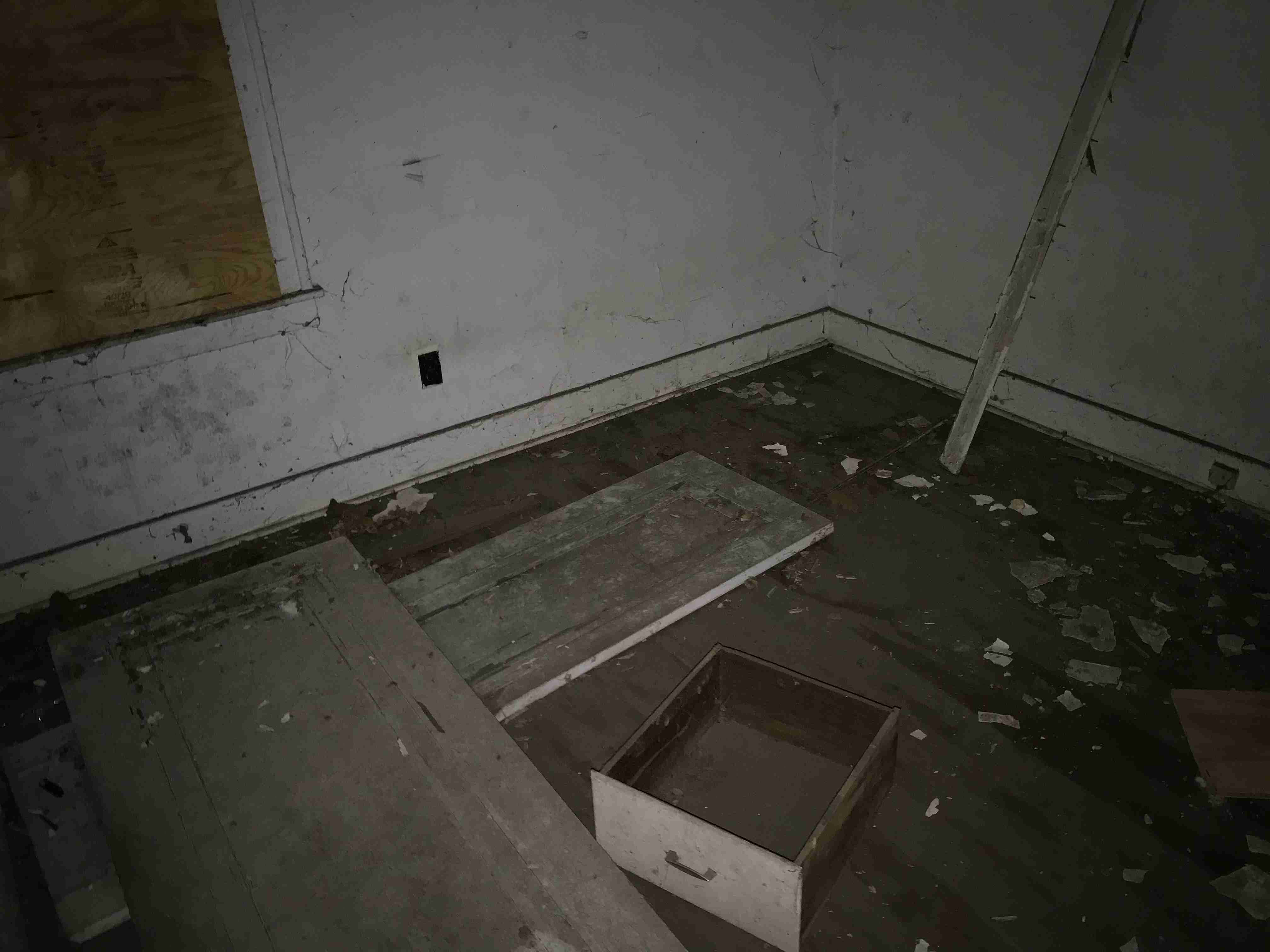 Photo Sep 10, 3 20 16 PM.jpg